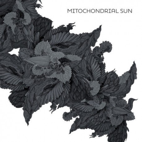 Mitochondrial Sun ‎– Mitochondrial Sun - CD-Digi
