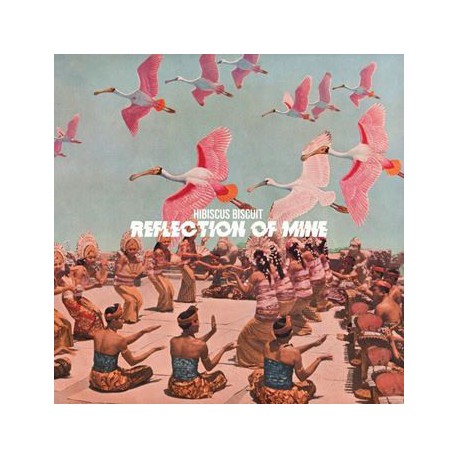 Hibiscus Biscuit – Reflection Of Mine - LP